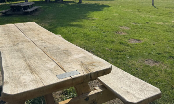 picknick2 picknick2