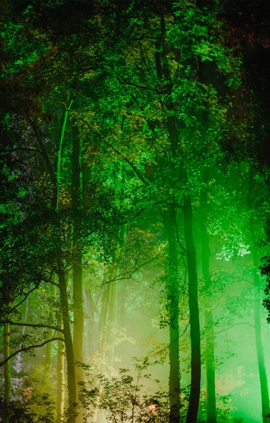  LOVELAND FESTIVAL IS BACK IN 2026 · Loveland Events 